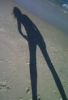 Cast a long shadow